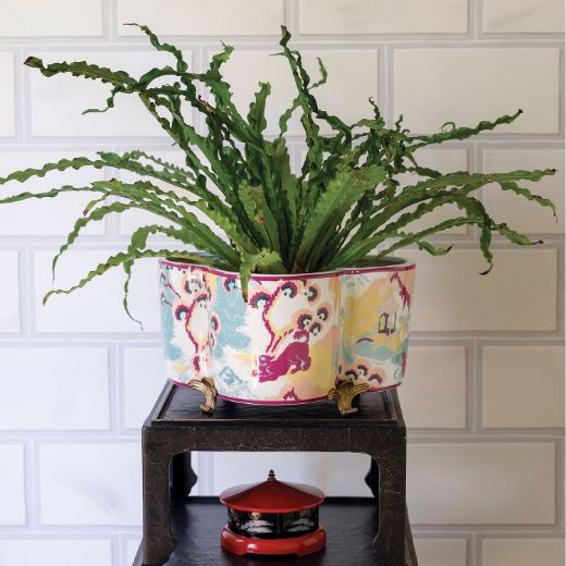 Picture of CANTON CORAL QUATREFOIL PLANTER