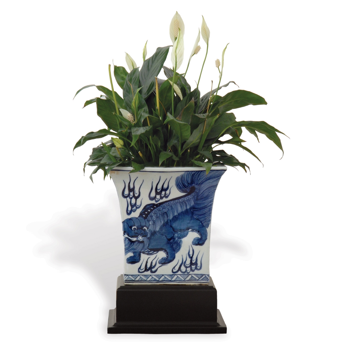 Picture of CHOW BLUE SQUARE PLANTER with STAND