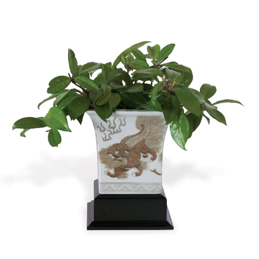 Picture of Chow Brown Square Planter with Stand