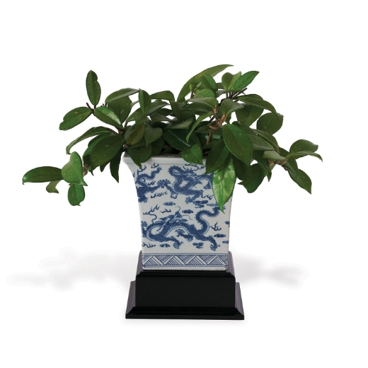 Picture of Dragon Blue Square Planter with Stand