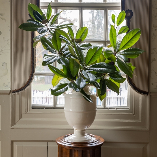 Picture of Lantana Ivory Vase 17.5"H