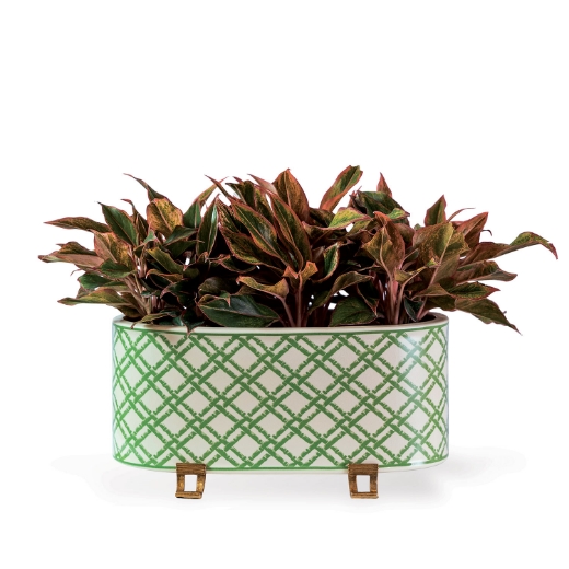 Picture of Bamboo Trellis Oval Planter