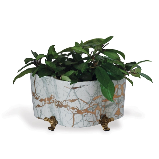 Picture of Giovanni Quaterfoil Planter