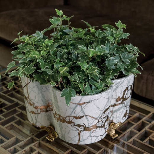 Picture of Giovanni Quaterfoil Planter