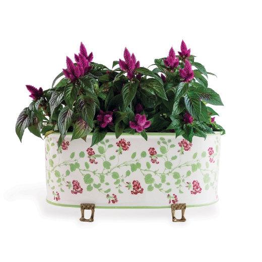 Picture of Geranium Trellis Oval Planter
