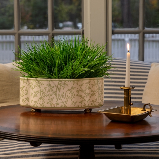 Picture of Ghost Blossom Oval Planter