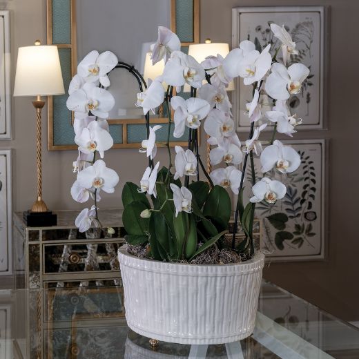 Picture of Bamboo Garden Cream Center Basin