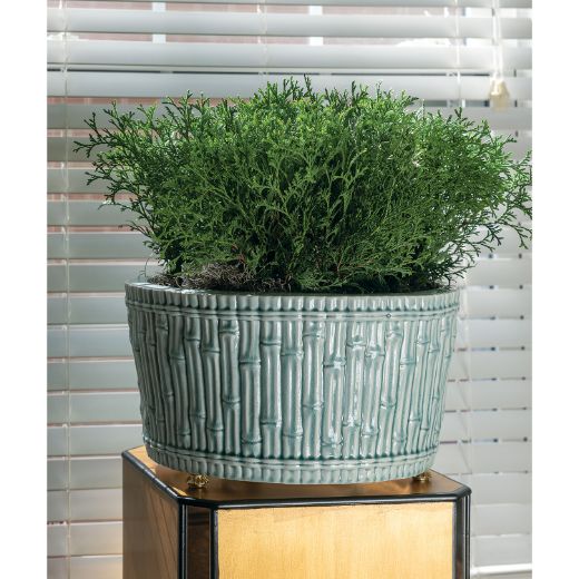 Picture of Bamboo Garden Celadon Center Basin