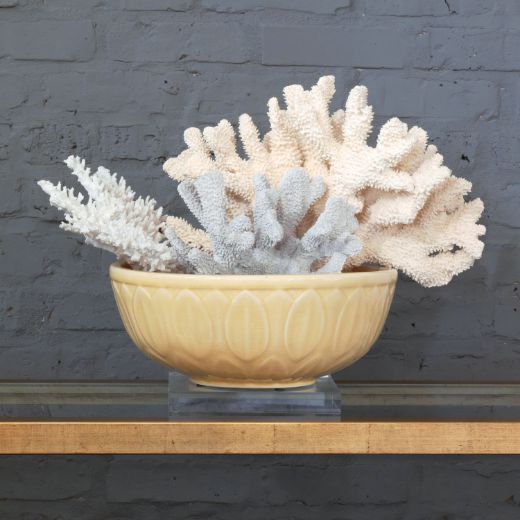 Picture of Bayleaf Yellow Bowl