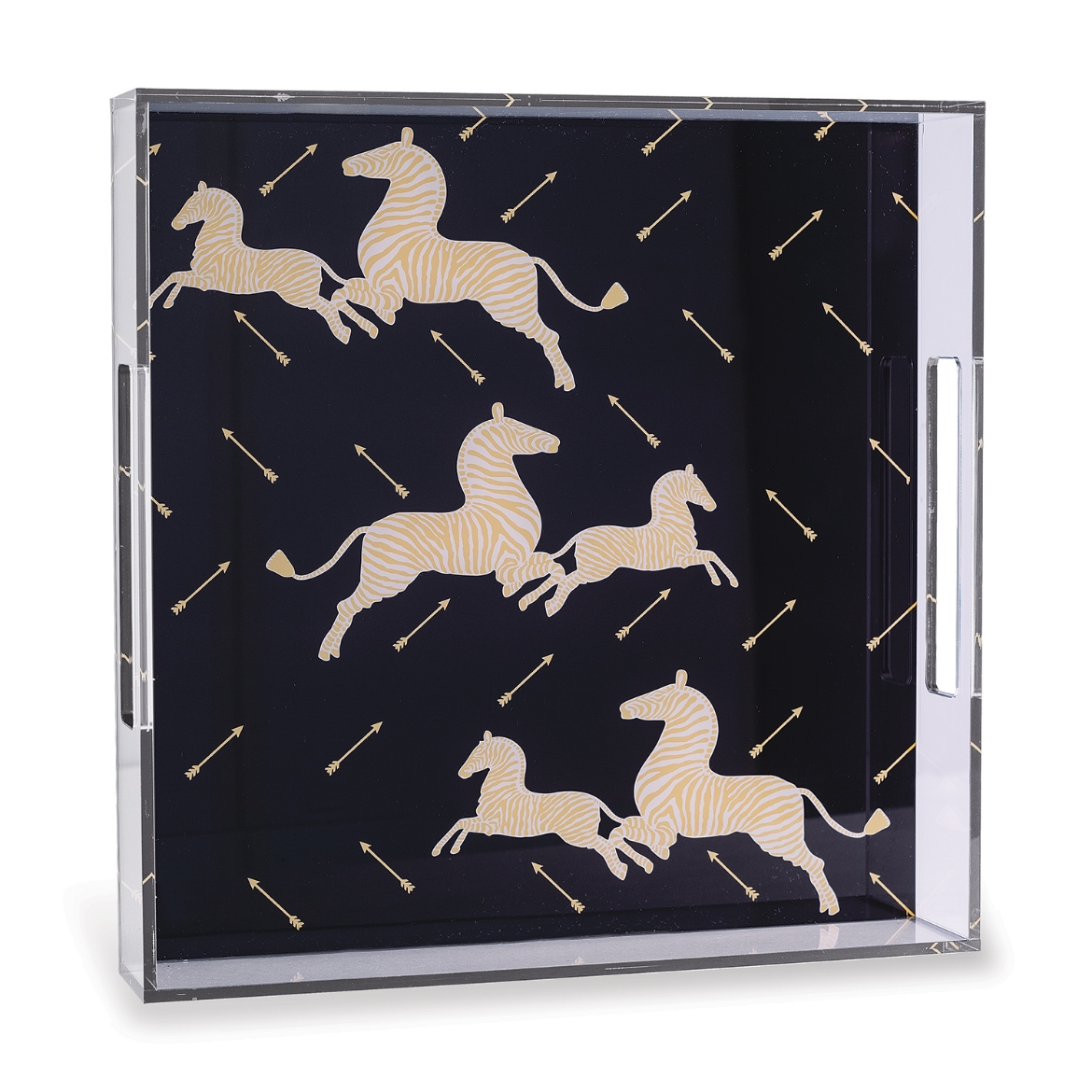 Picture of Zebra Black Lucite Tray