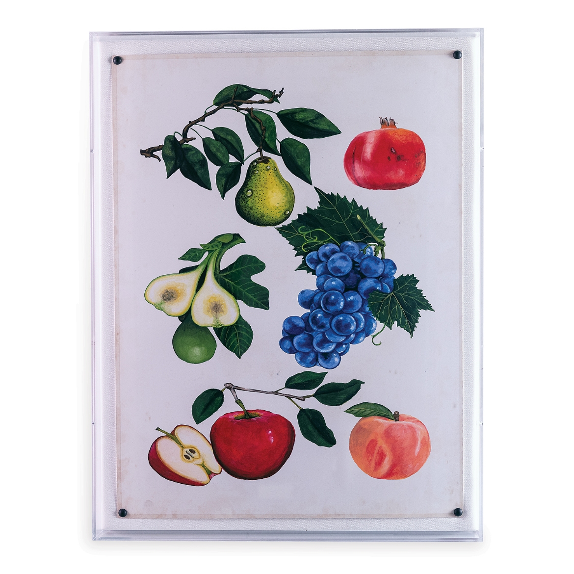 Picture of Fruit I
