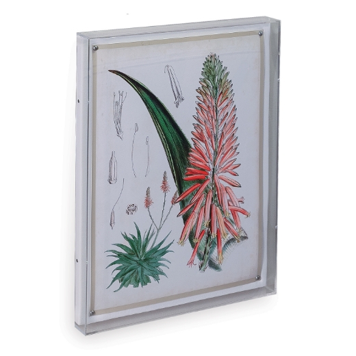 Picture of Tropicals I