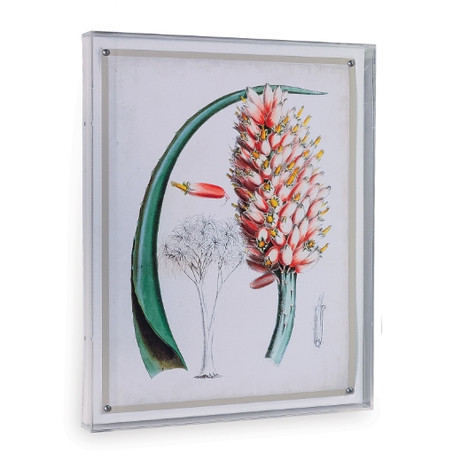 Picture of Tropicals III