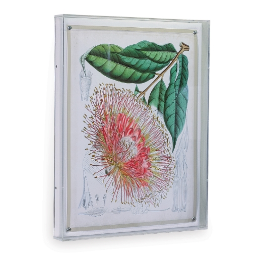 Picture of Tropicals IV
