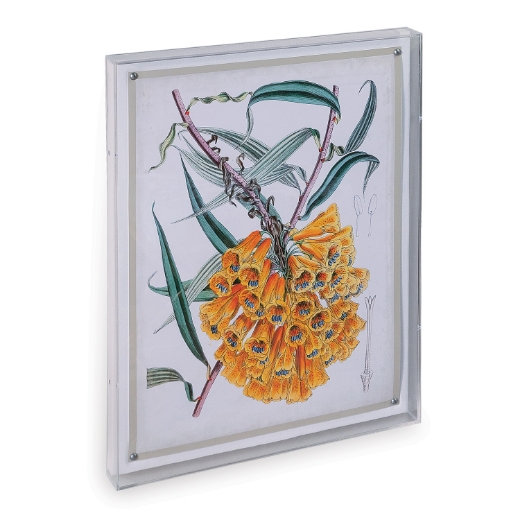 Picture of Tropicals VI