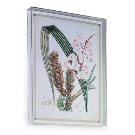 Picture of Tropicals VIII