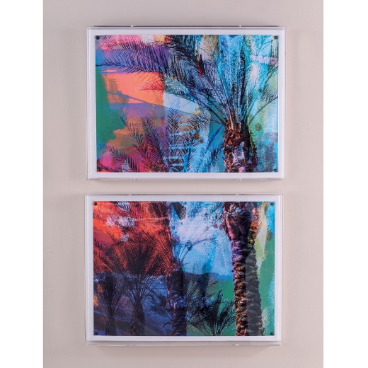 Picture of Desert Palm I