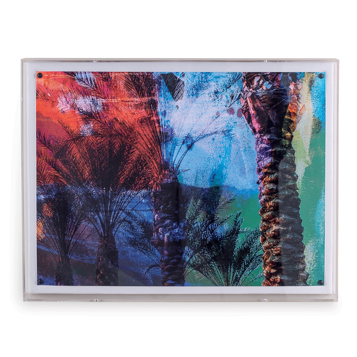 Picture of Desert Palm II
