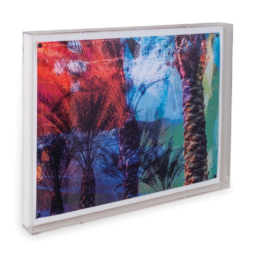 Picture of Desert Palm II