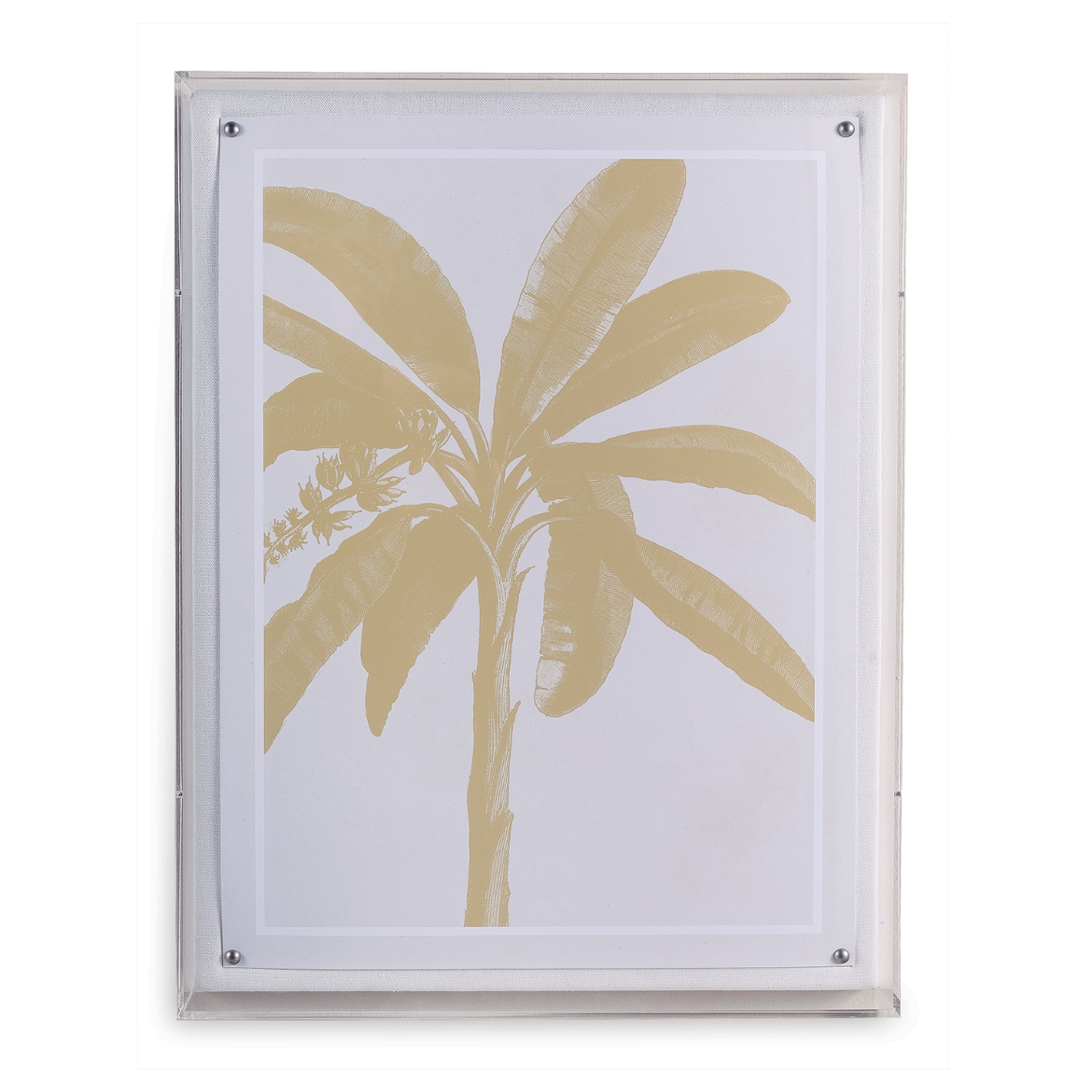 Picture of Palms Gold