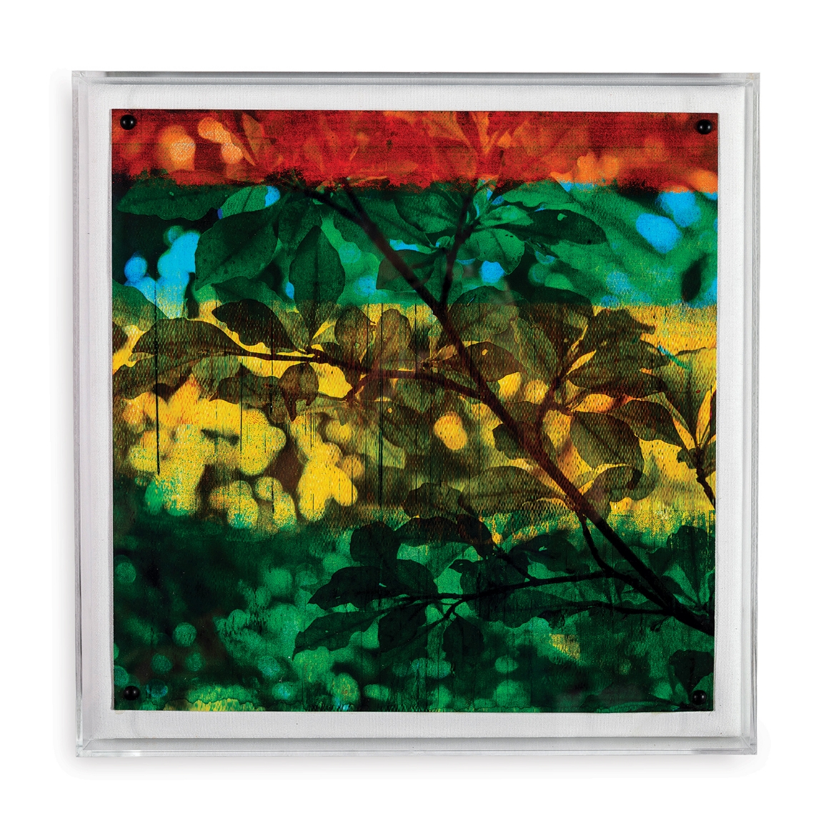 Picture of Leaf Study I