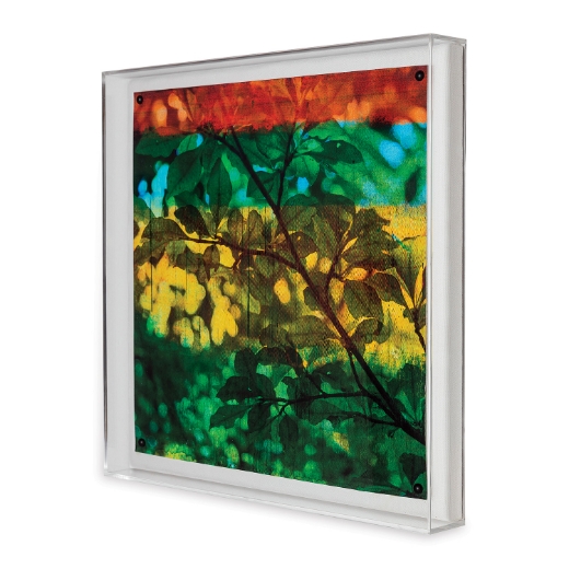 Picture of Leaf Study I