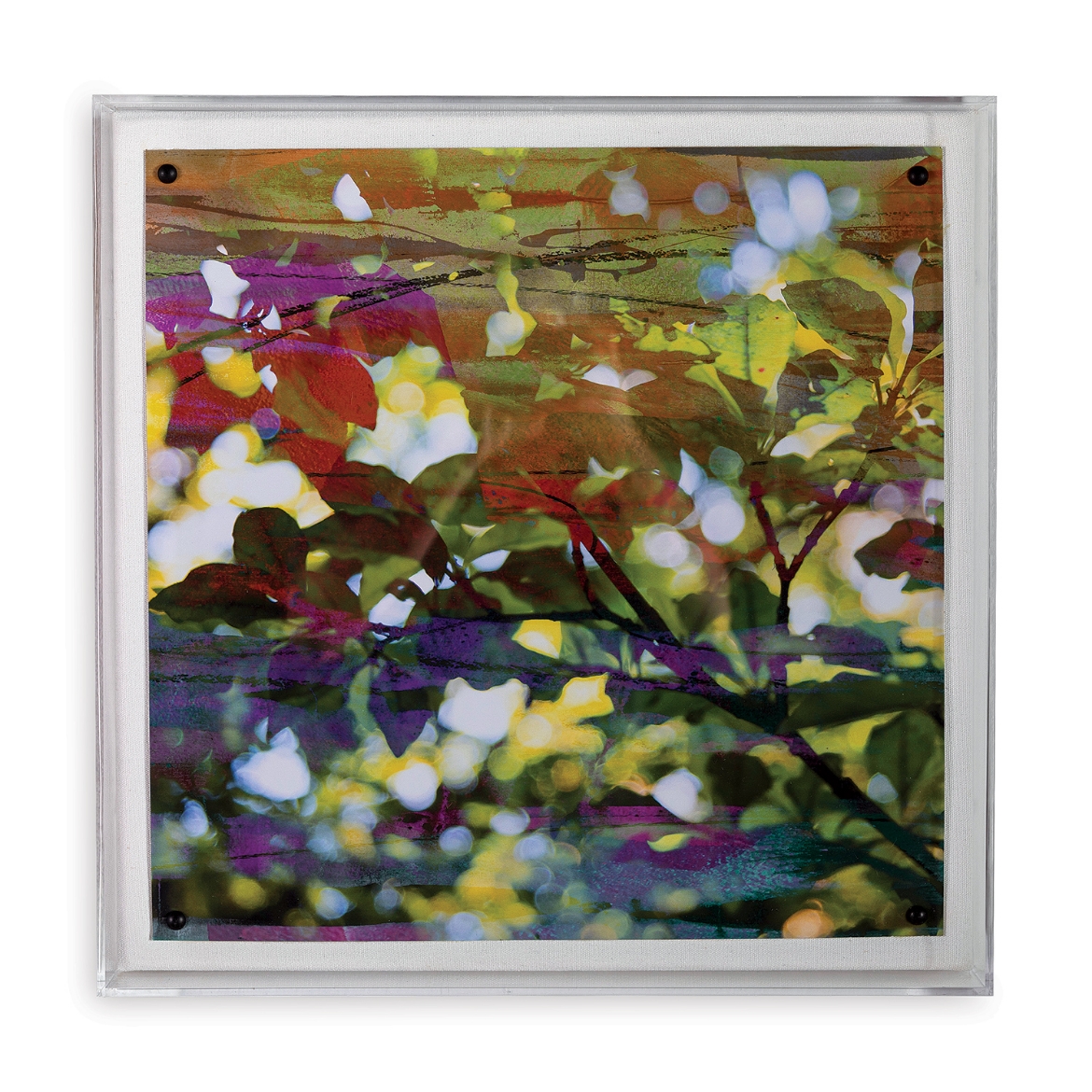 Picture of Leaf Study II