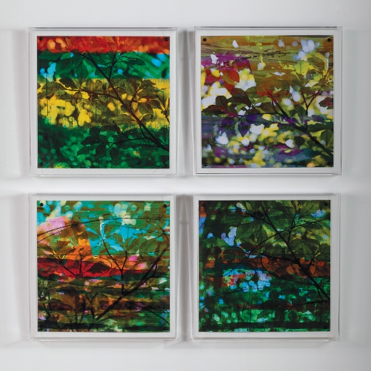 Picture of Leaf Study II
