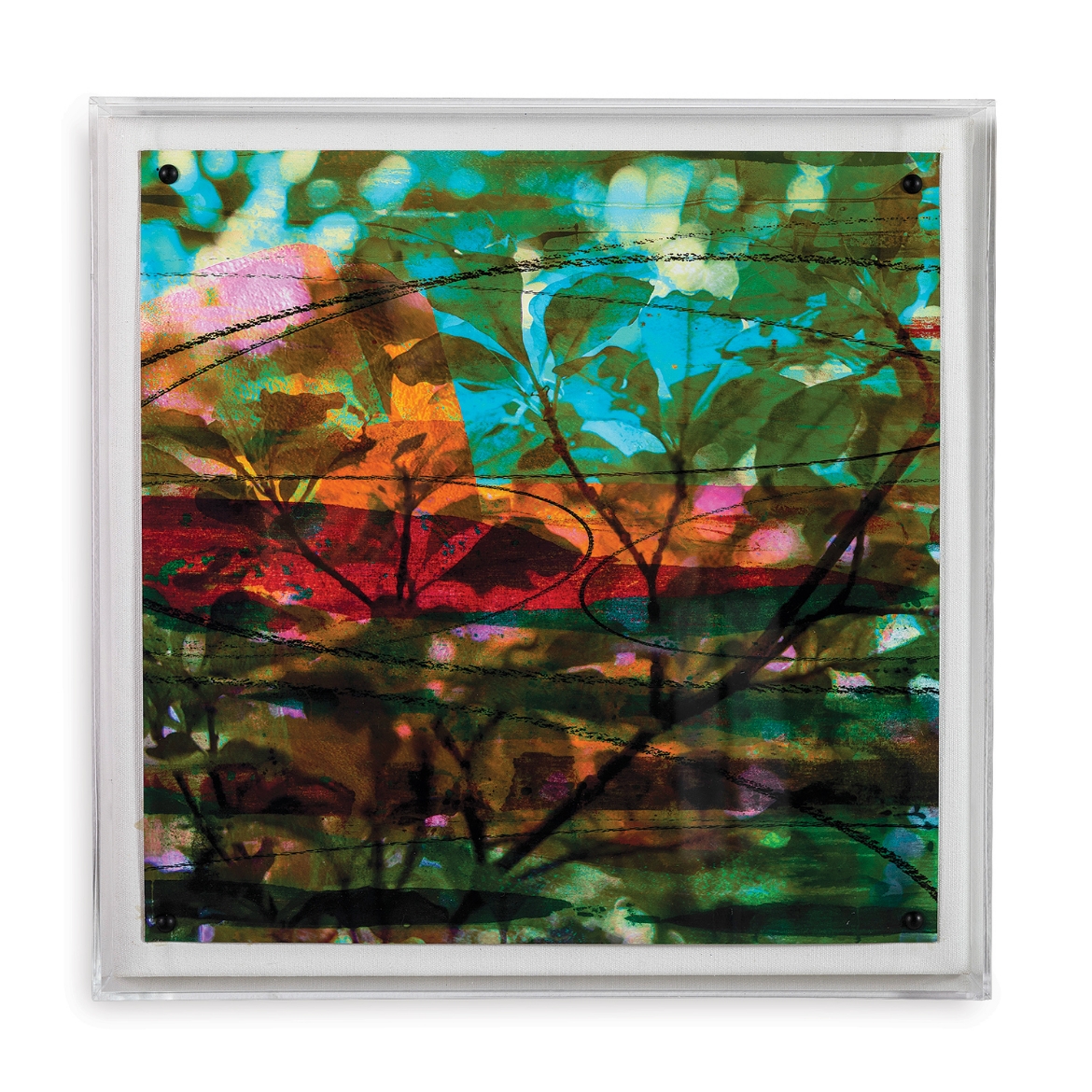 Picture of Leaf Study III