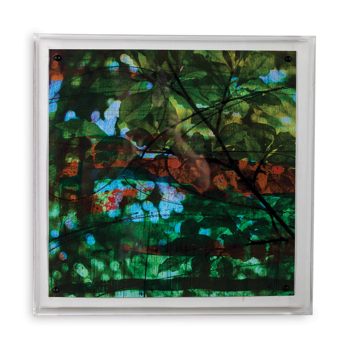 Picture of Leaf Study IV