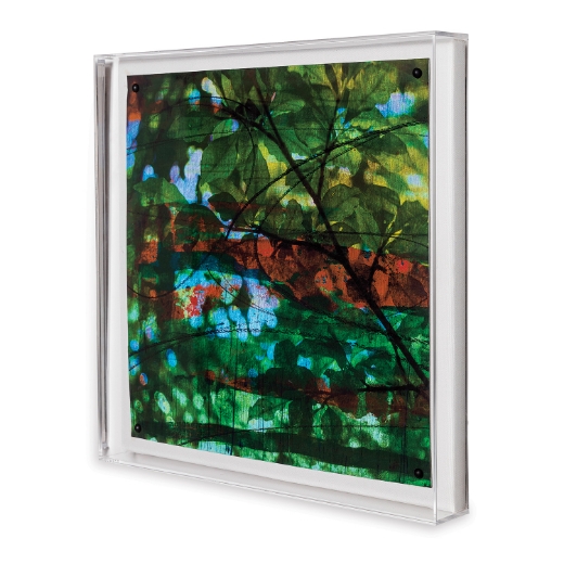 Picture of Leaf Study IV