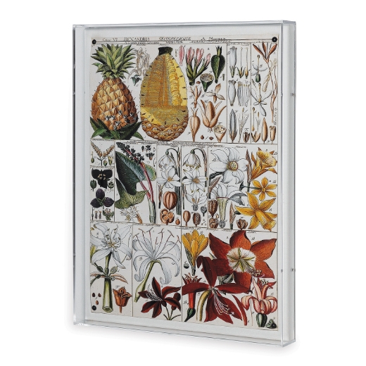 Picture of Pineapple Chart