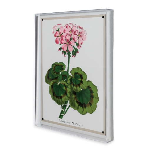 Picture of Geranium II