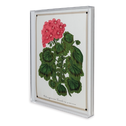 Picture of Geranium I