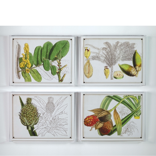 Picture of Tropical Foliage I