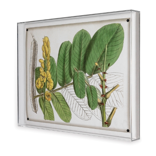 Picture of Tropical Foliage II