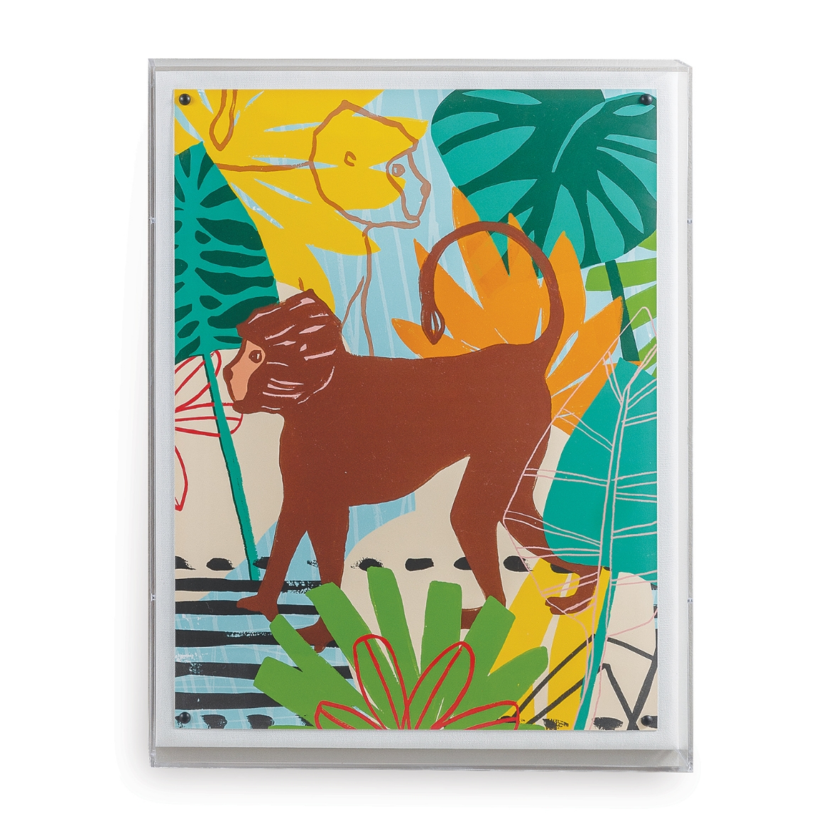 Picture of Jungle Monkey