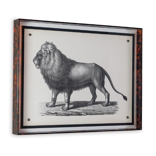 Picture of Lion