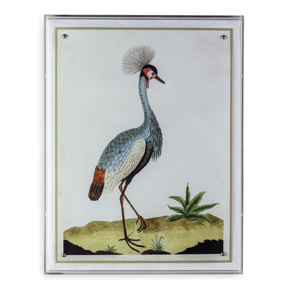 Picture of Heron I
