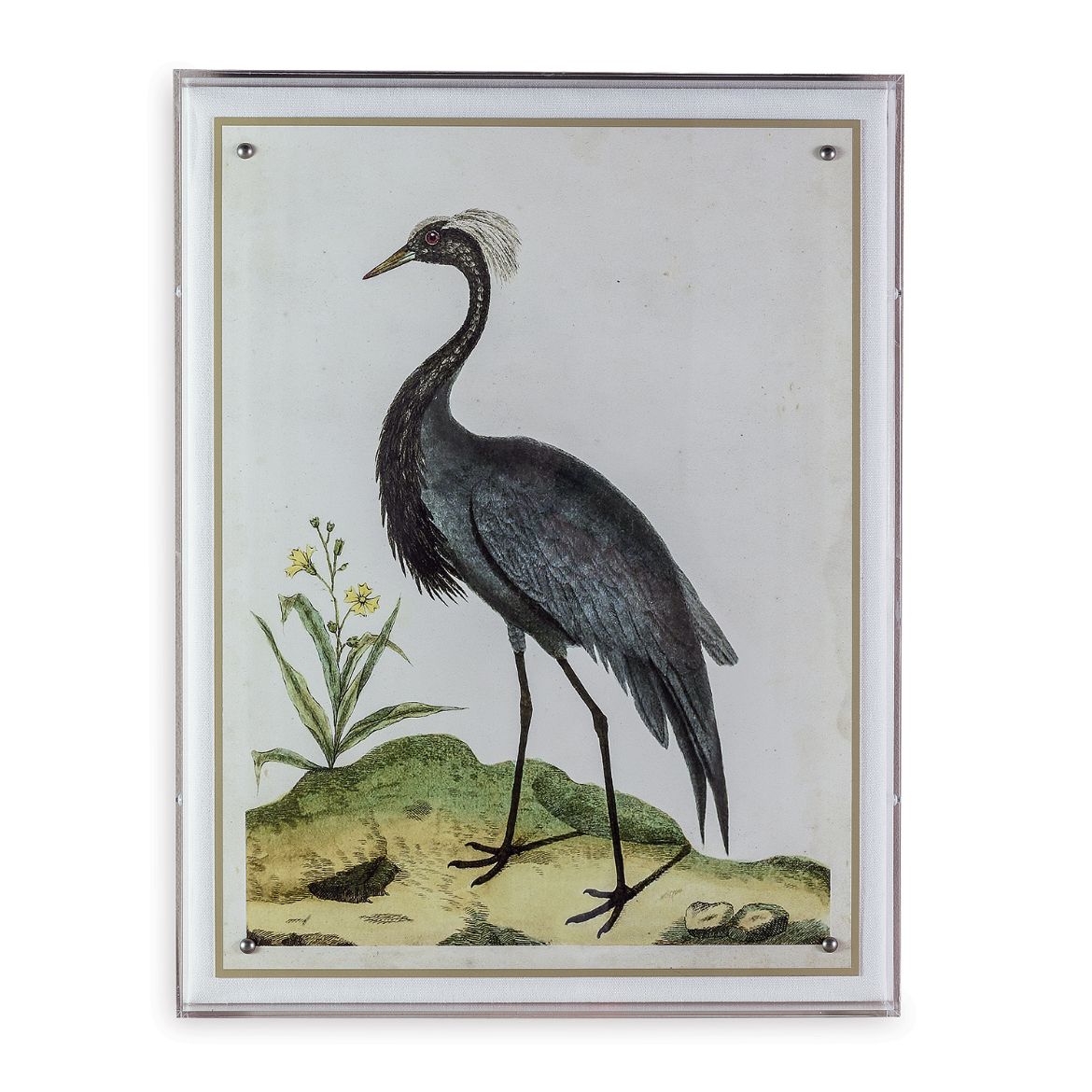 Picture of Heron II