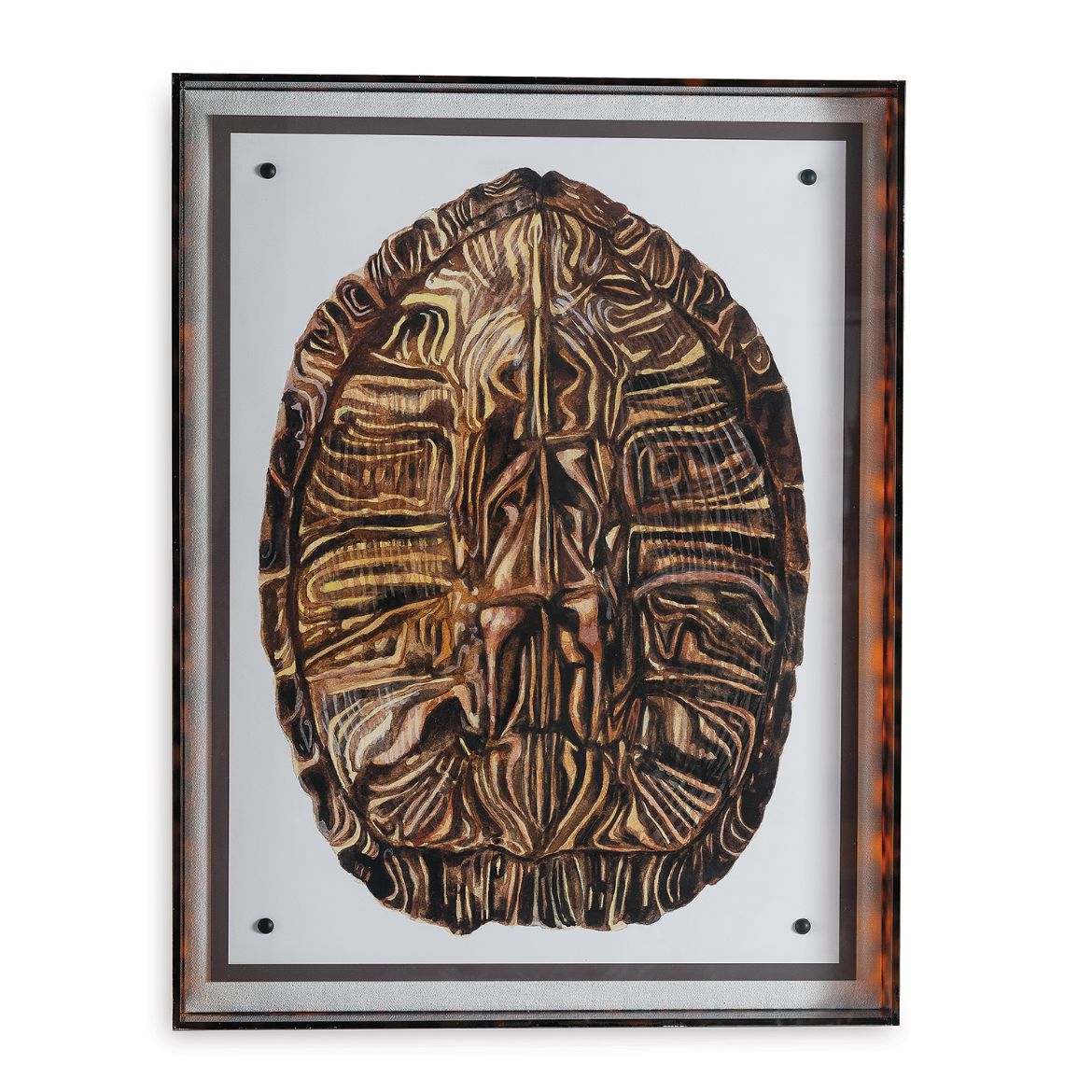 Picture of Tortoise II