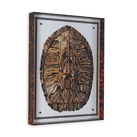 Picture of Tortoise II