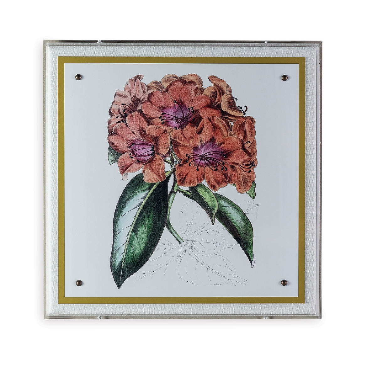 Picture of Paxton Flower Pink