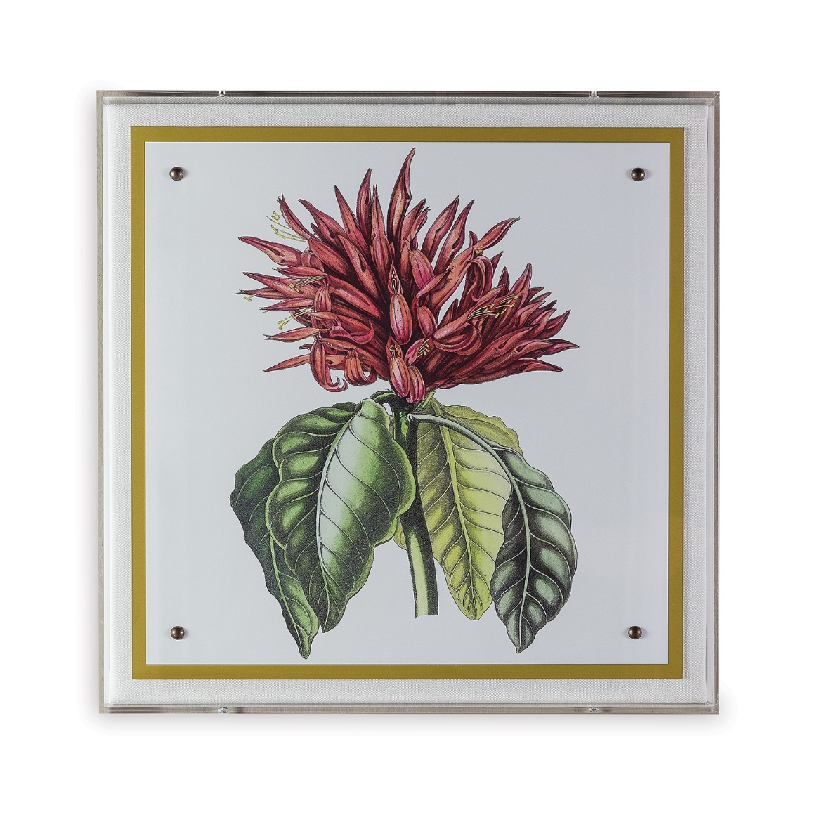 Picture of Paxton Flower Red