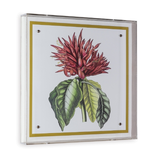 Picture of Paxton Flower Red