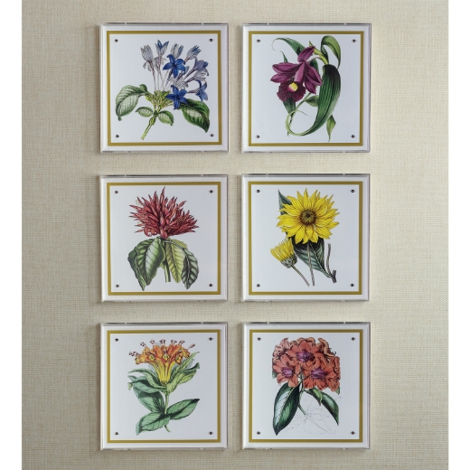 Picture of Paxton Flower Red