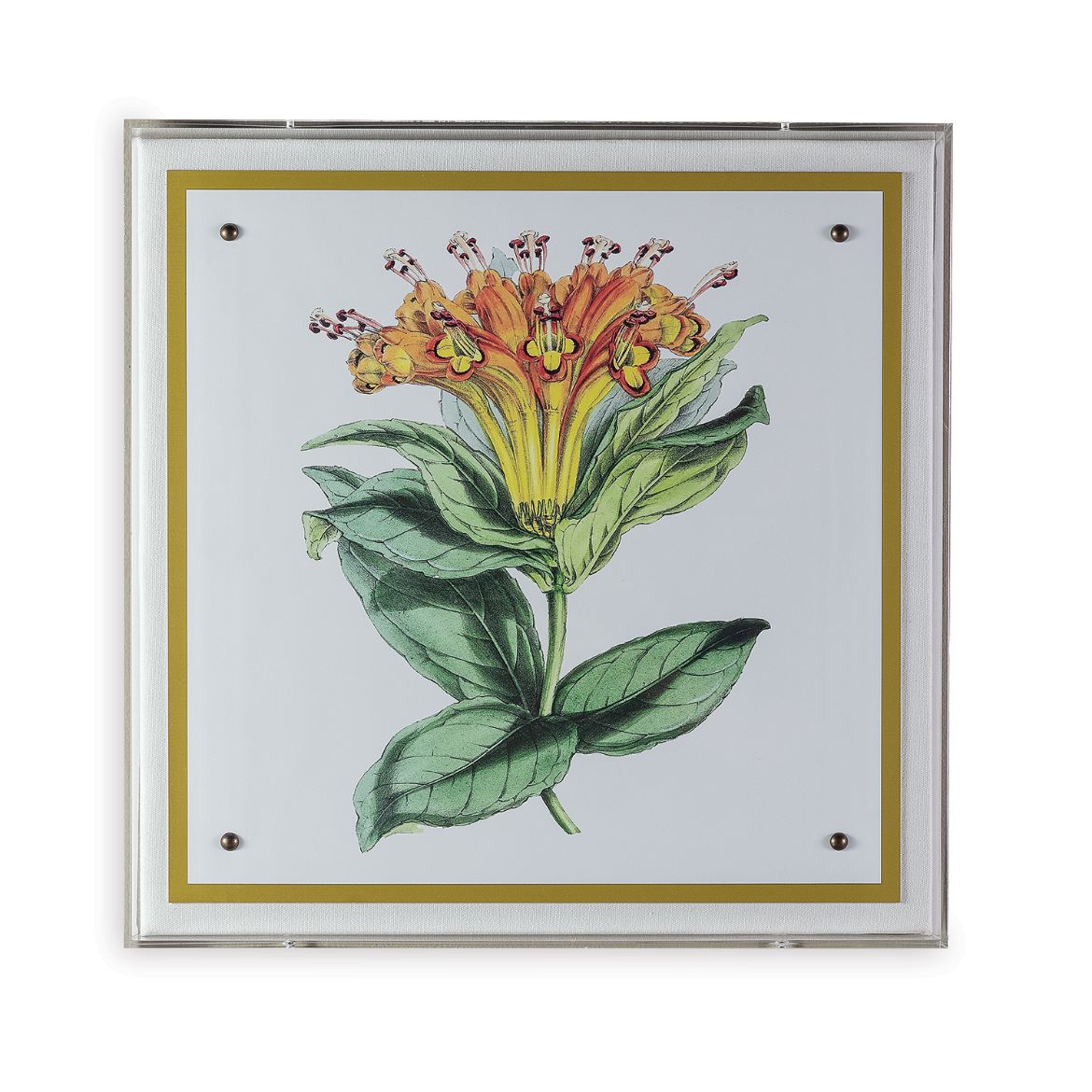 Picture of Paxton Flower Orange