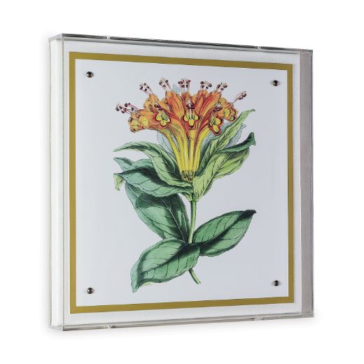 Picture of Paxton Flower Orange