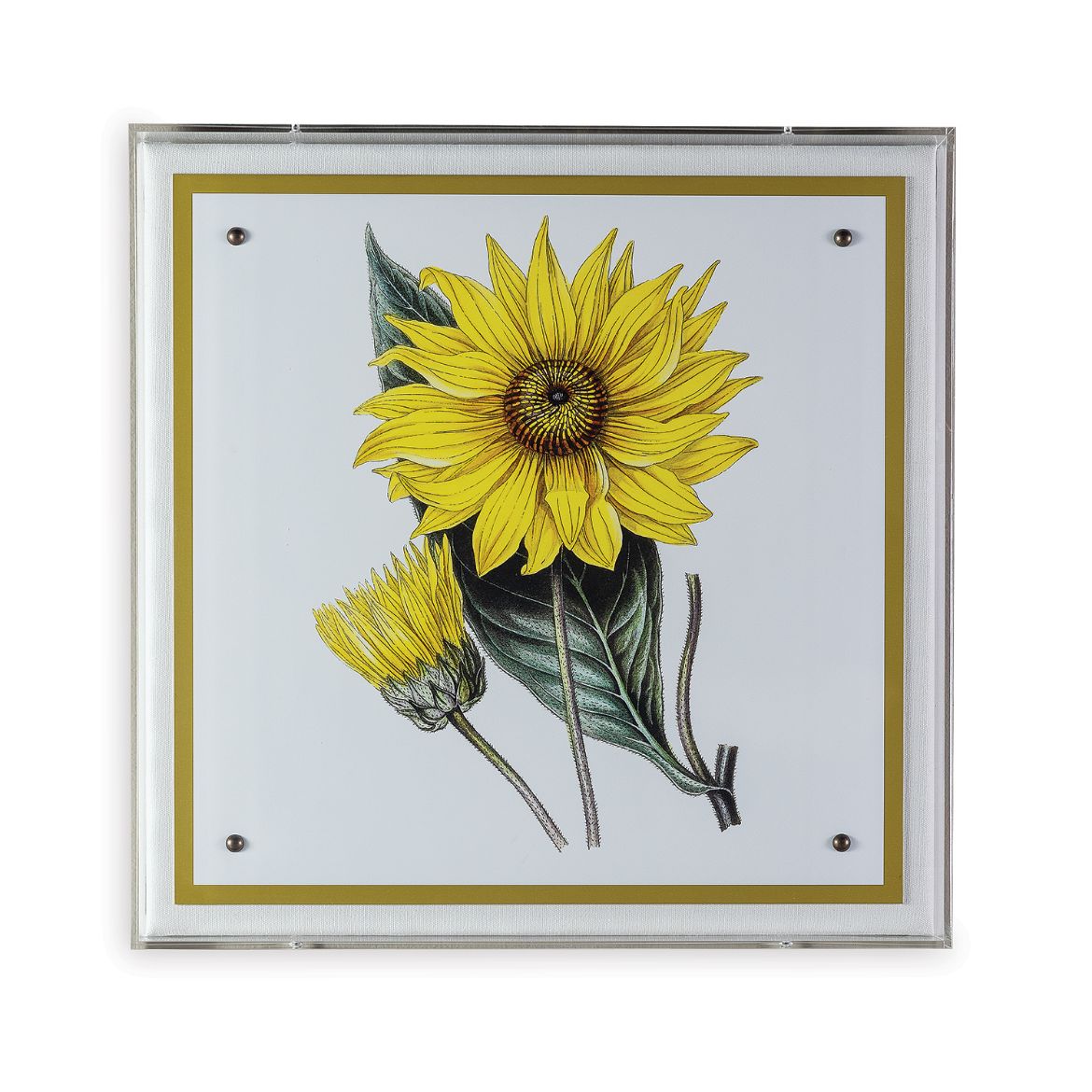 Picture of Paxton Flower Yellow