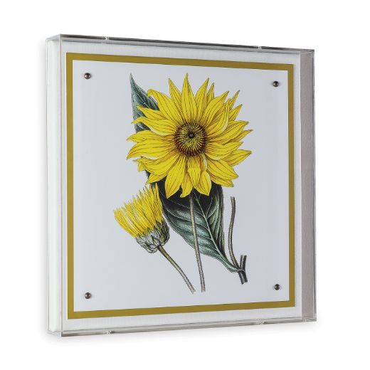 Picture of Paxton Flower Yellow